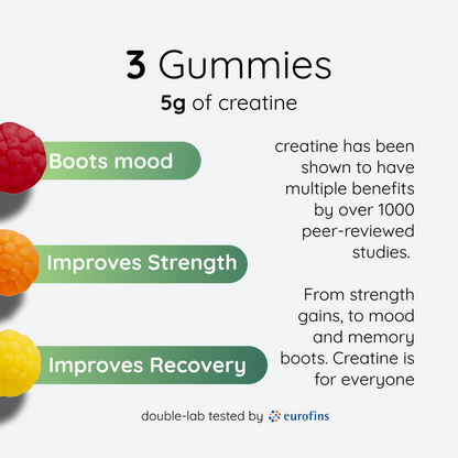 Nootra Starter Bundle